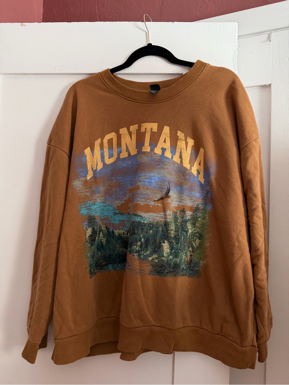 wild fable Montana Scenic Graphic Crewneck - Brown